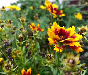 Meet your Posher, Madeleine